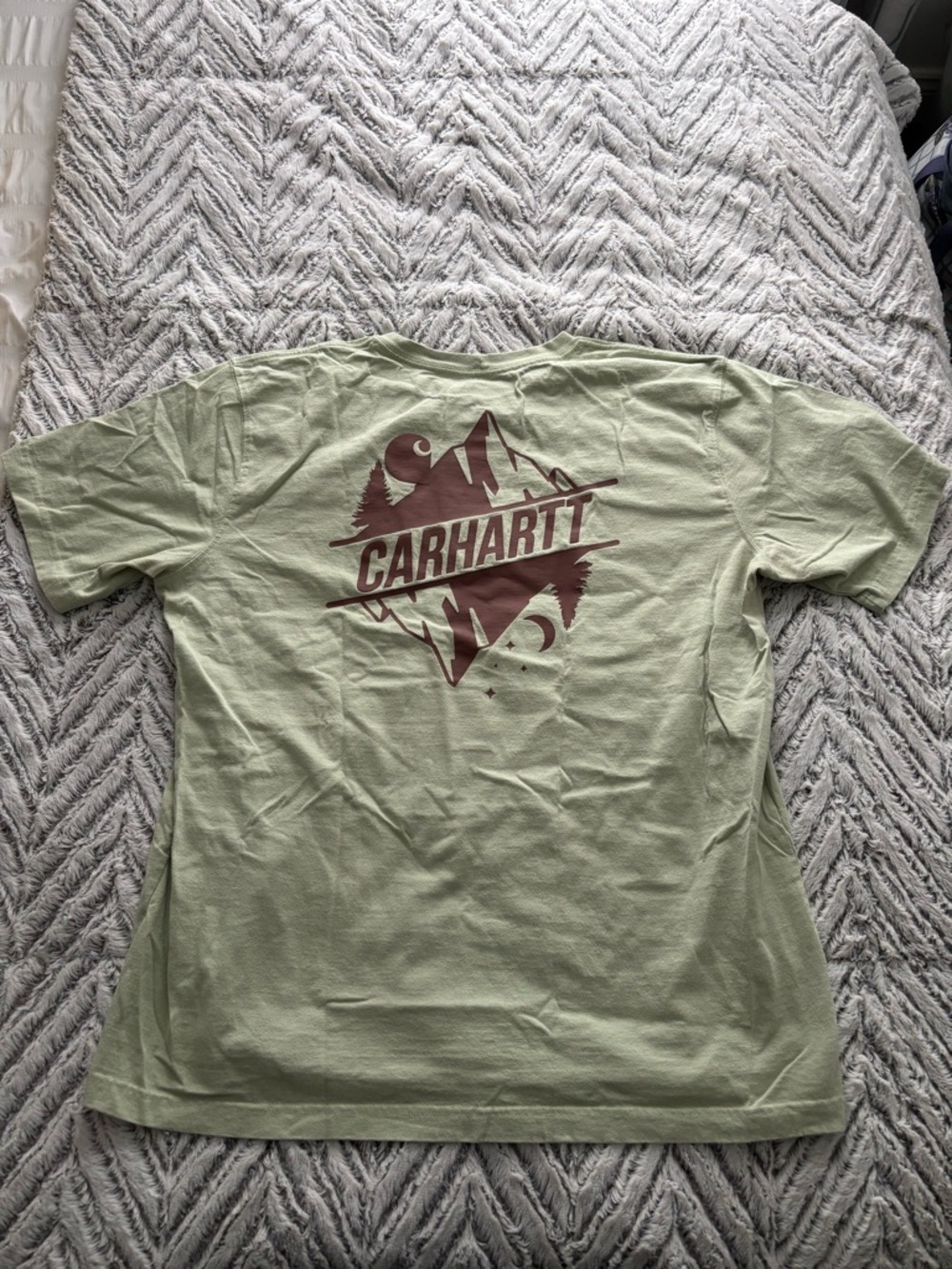 Carhartt Men’s Sage Green and Brown Relaxed Fit Tee
